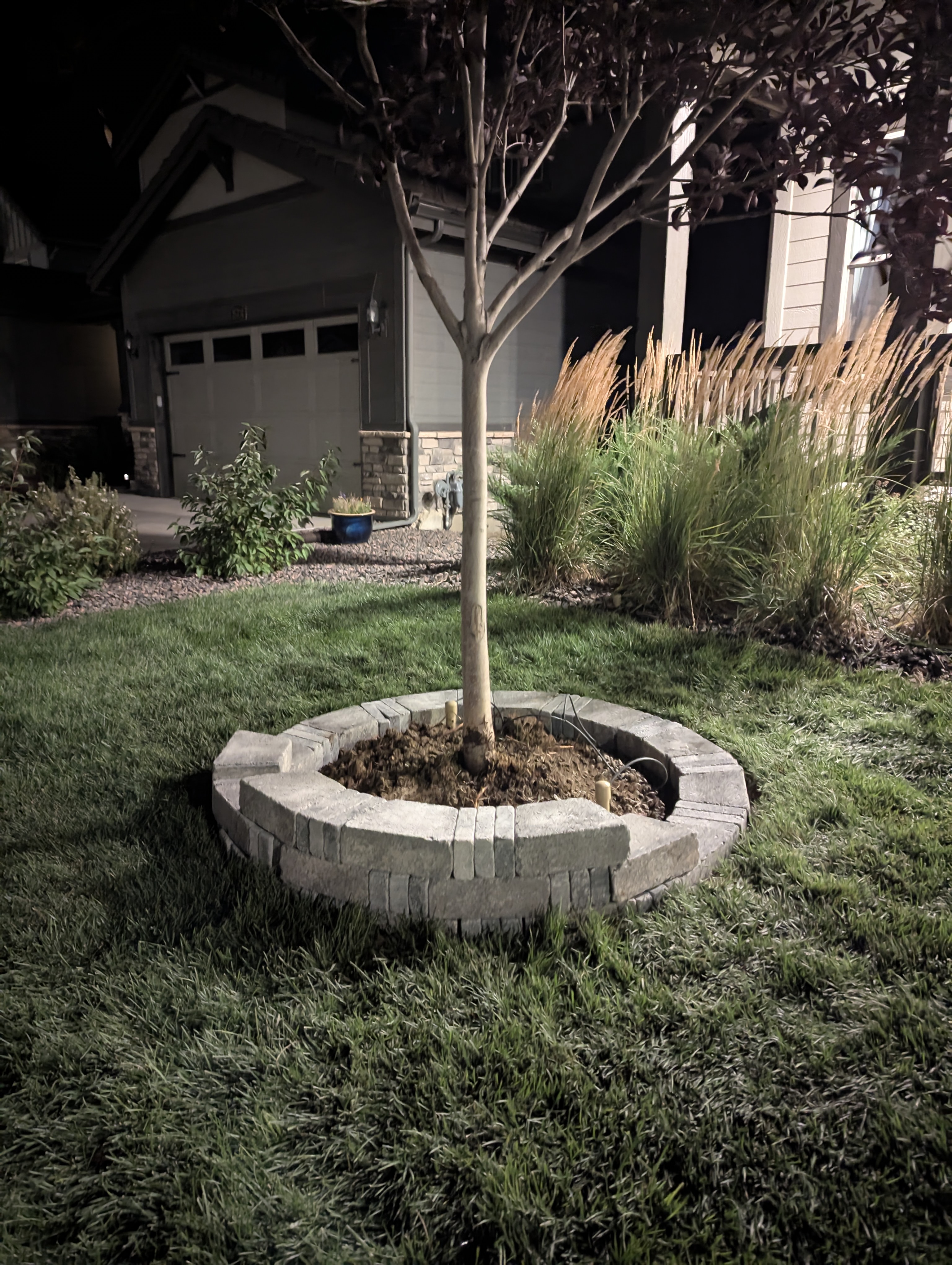 Tree Ring, Home Improvement, Morrison, Colorado